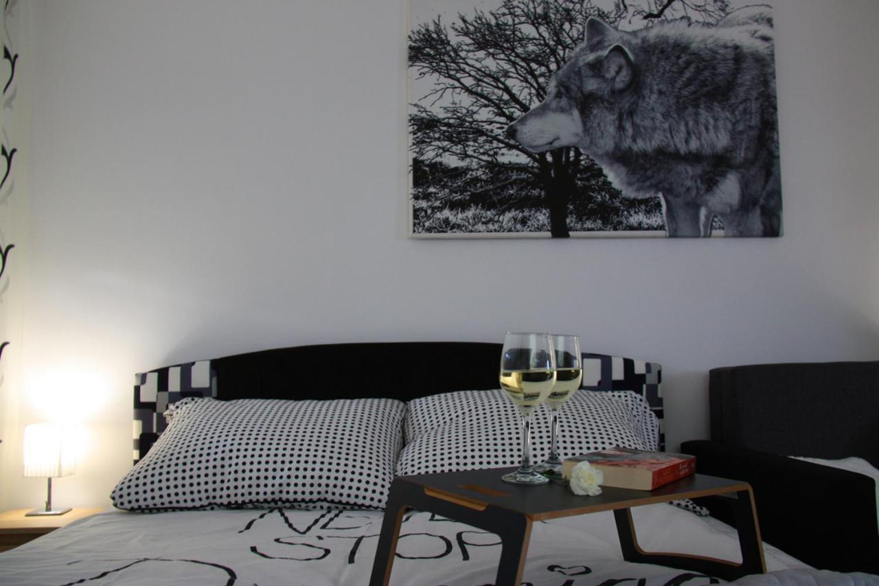 Bieszczady Apartament *